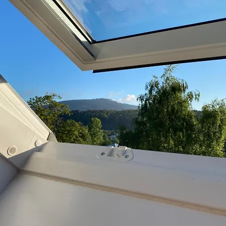 Daire Herzchalet Carl *