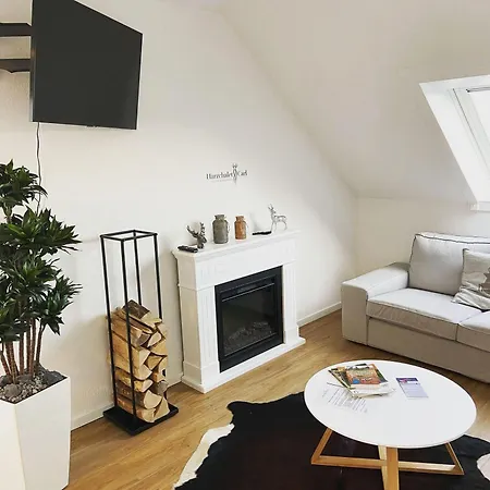 Daire Herzchalet Carl Braunlage