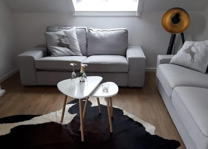 Apartament Herzchalet Carl Braunlage