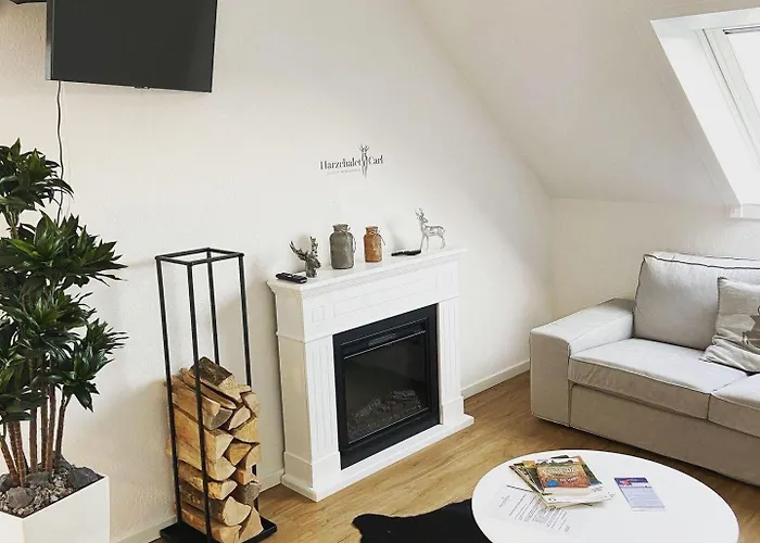 Apartament Herzchalet Carl Braunlage